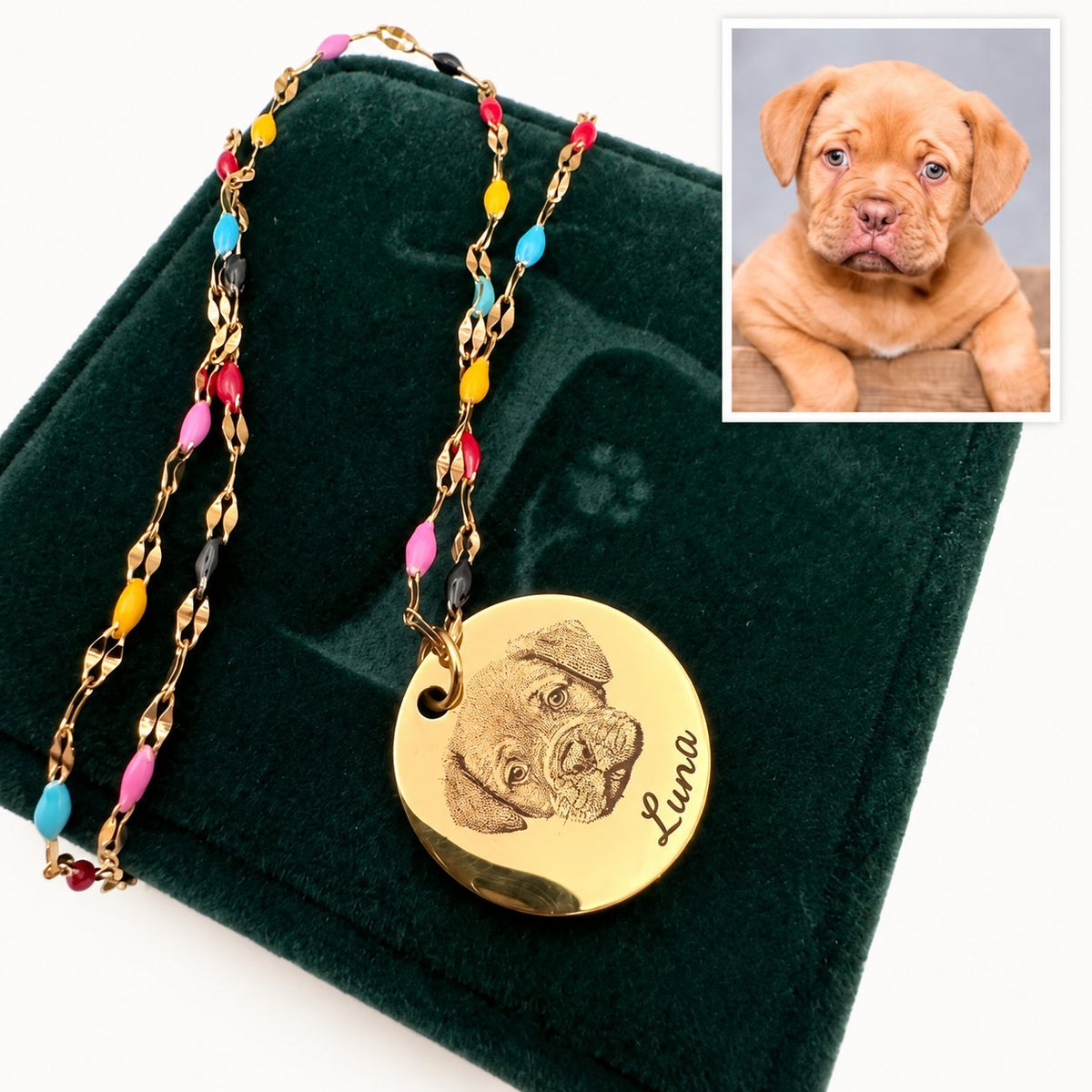 Rainbow Bridge pet memorial necklace engraved with Luna on a dark green gift box