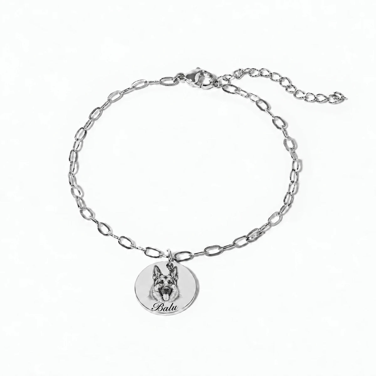 Pet portrait engraving with name Balu in font 22