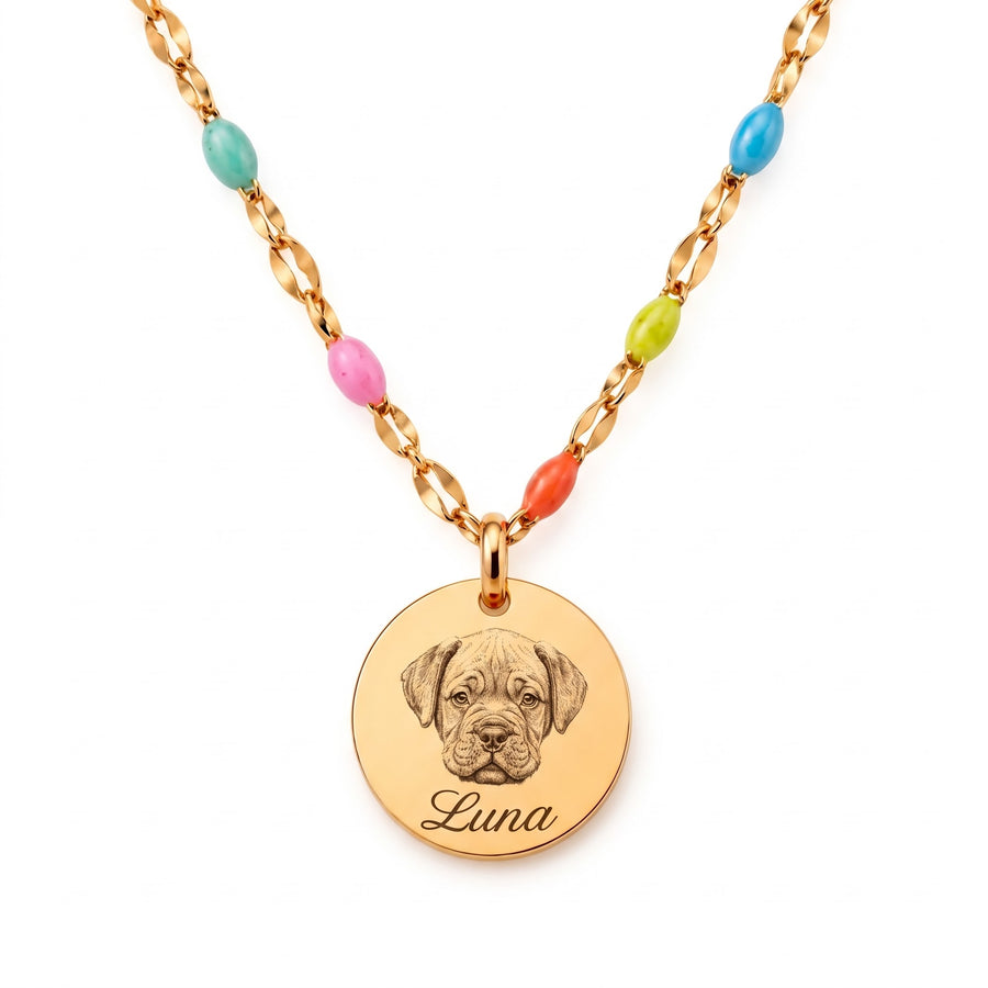 Rainbow Bridge Pet Memorial Necklace